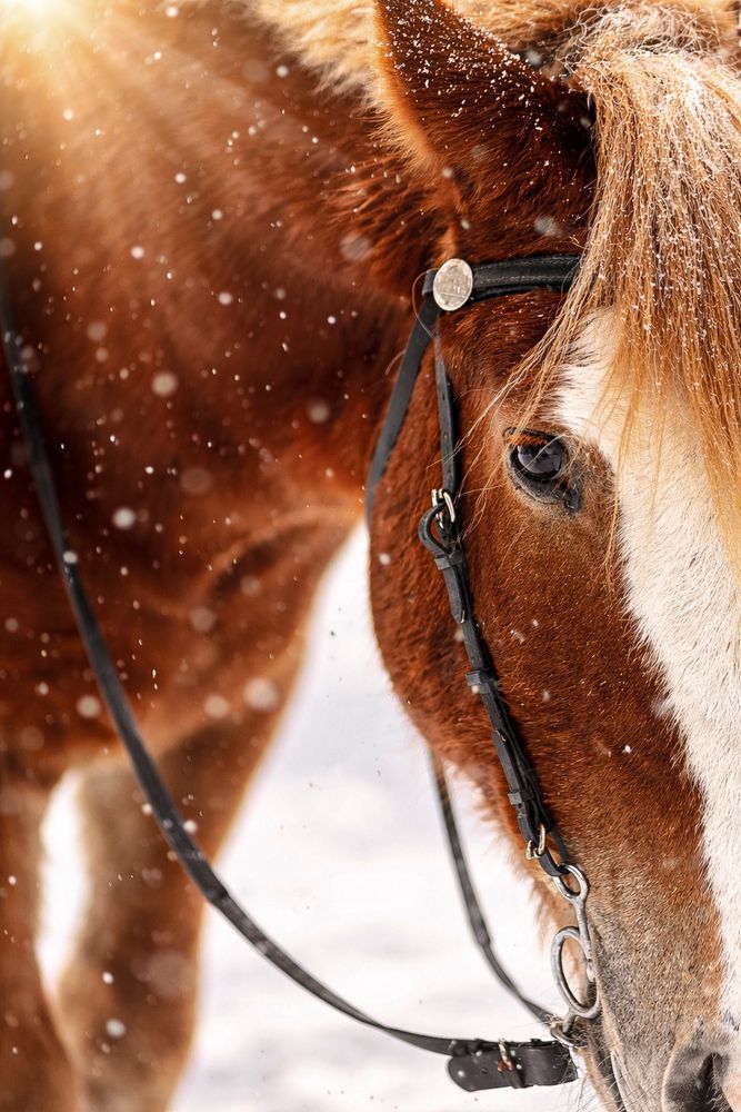 Фотография автора Мария Крюкова