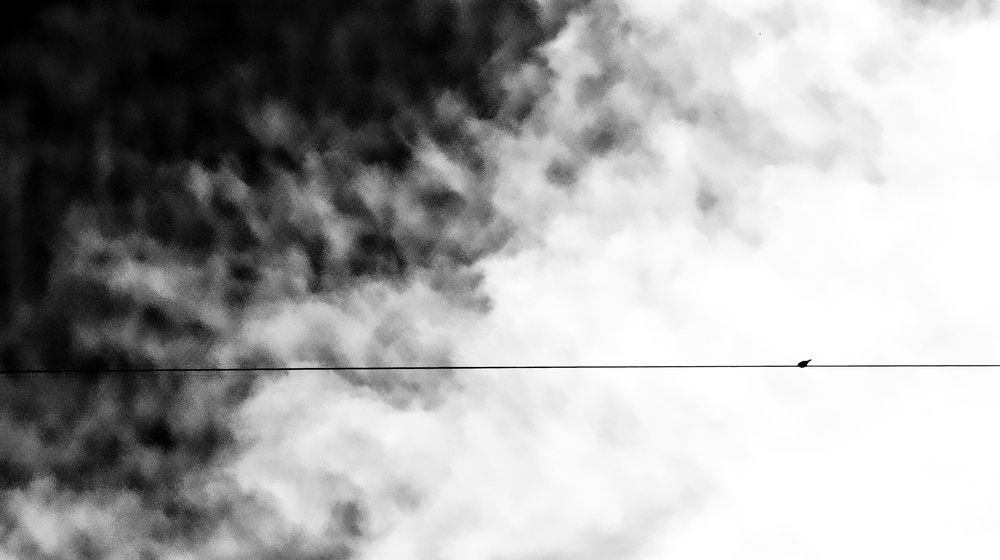 Photograph by Amir Hosein Shokrabadi