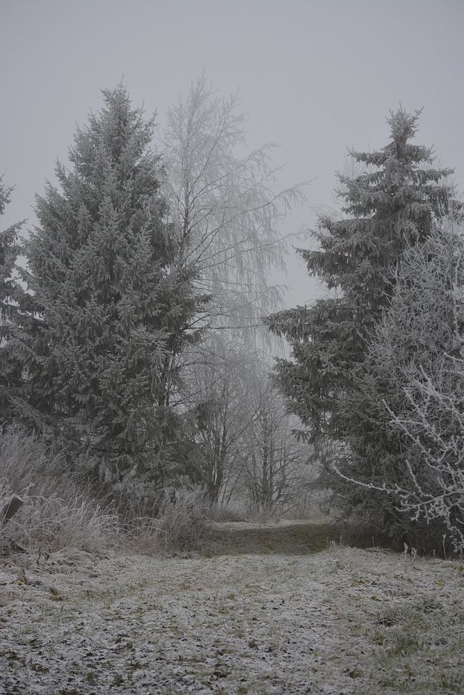 Photograph by Галина Катанова