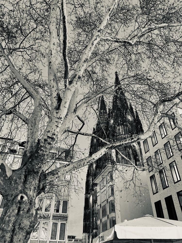 Photograph by Анастасия Мангольд