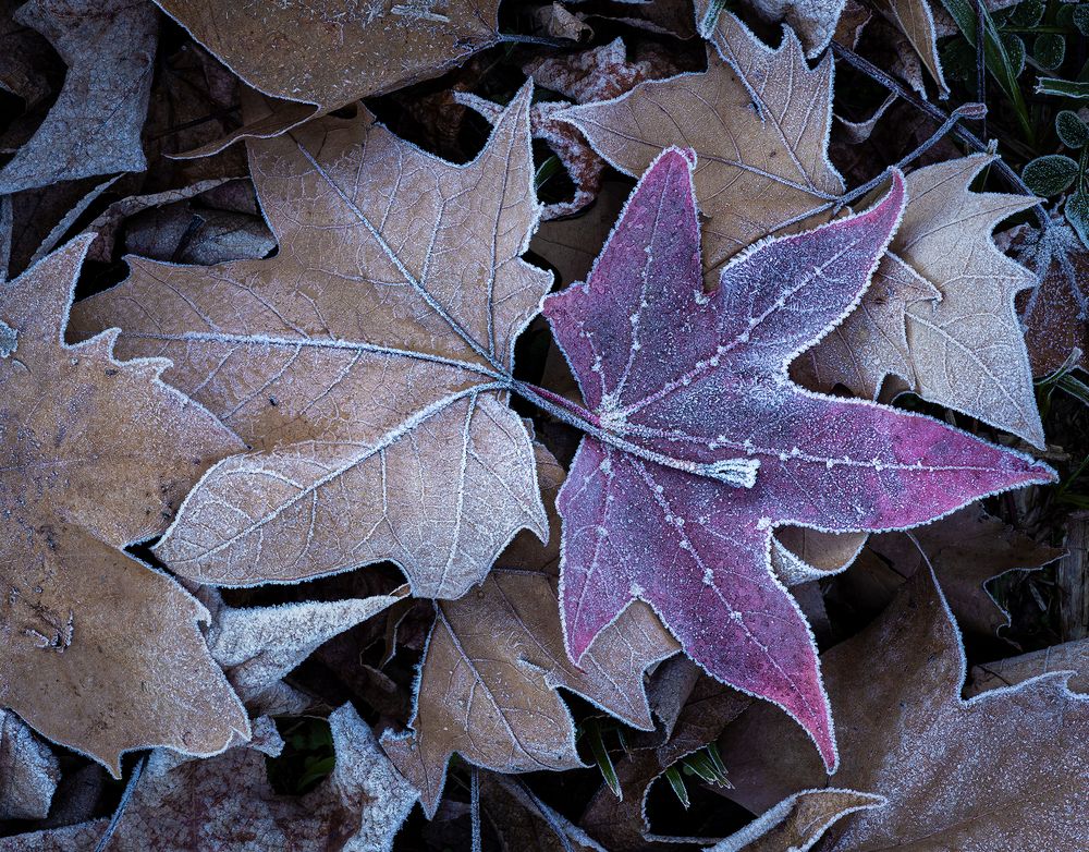 Photograph by Valdir Hobus