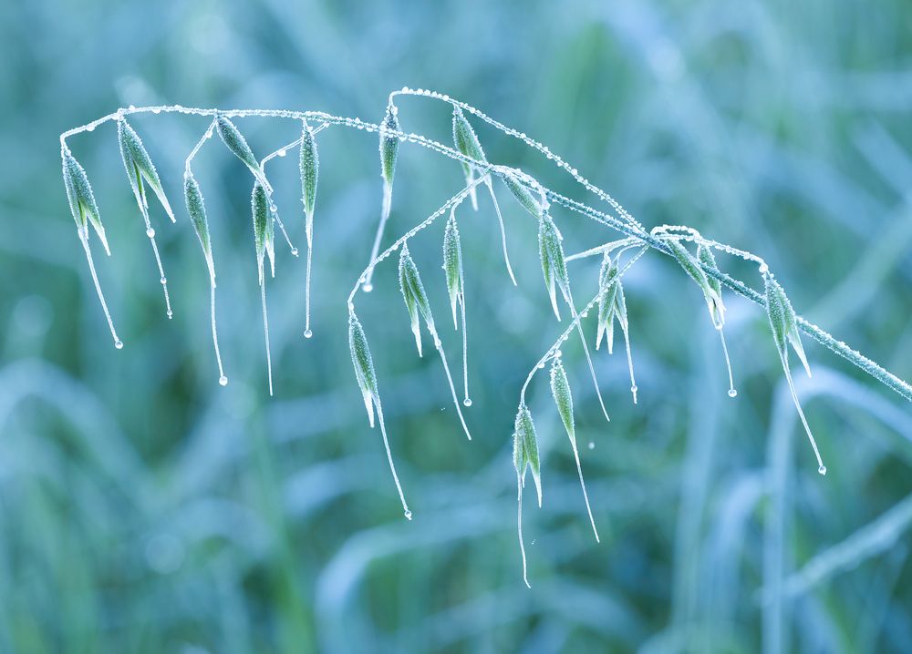 Photograph by Valdir Hobus