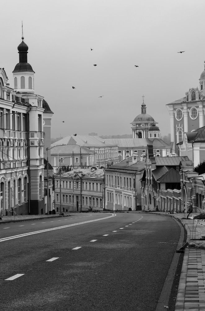 Фотография автора Светлана Зимина