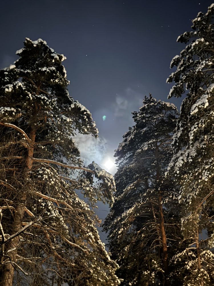 Photograph by Елена Метелёва