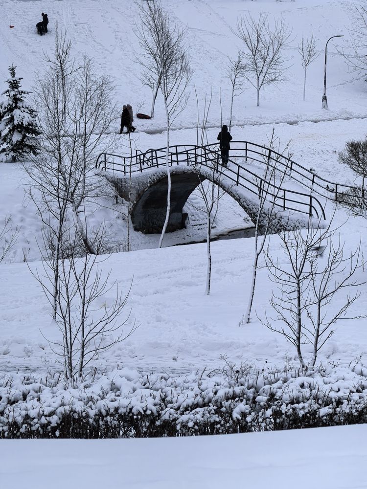 Photograph by Толкачева Наталья