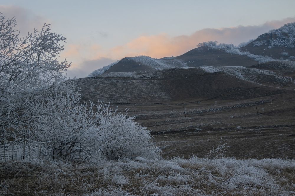 Фотография автора Шипунова Ирина