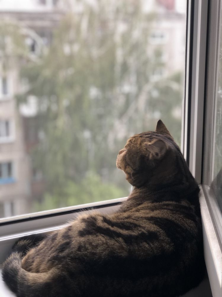 Photograph by Елена Метелёва