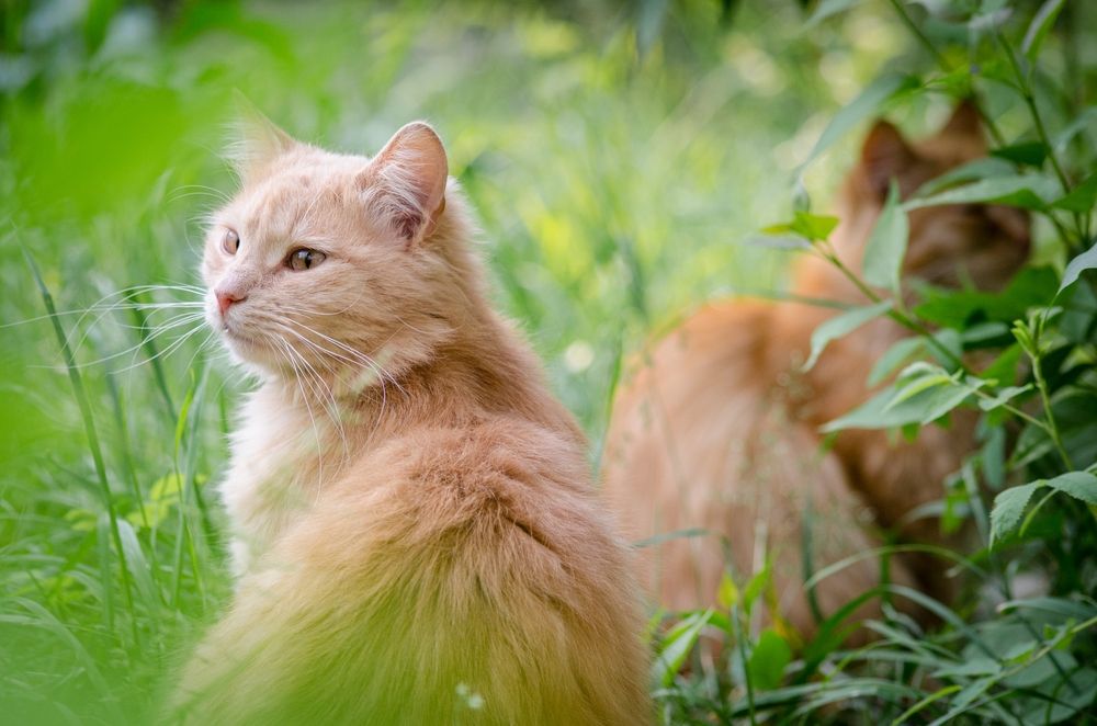 Photograph by Татьяна Жиркина