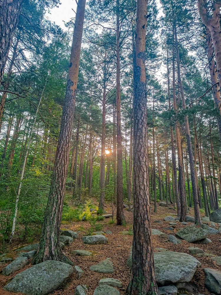 Photograph by Александр Степанов