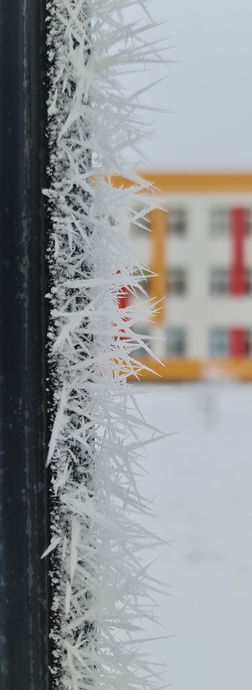 Photograph by Kim Natasha