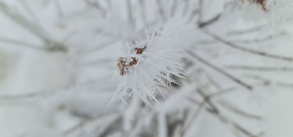 Photograph by Kim Natasha