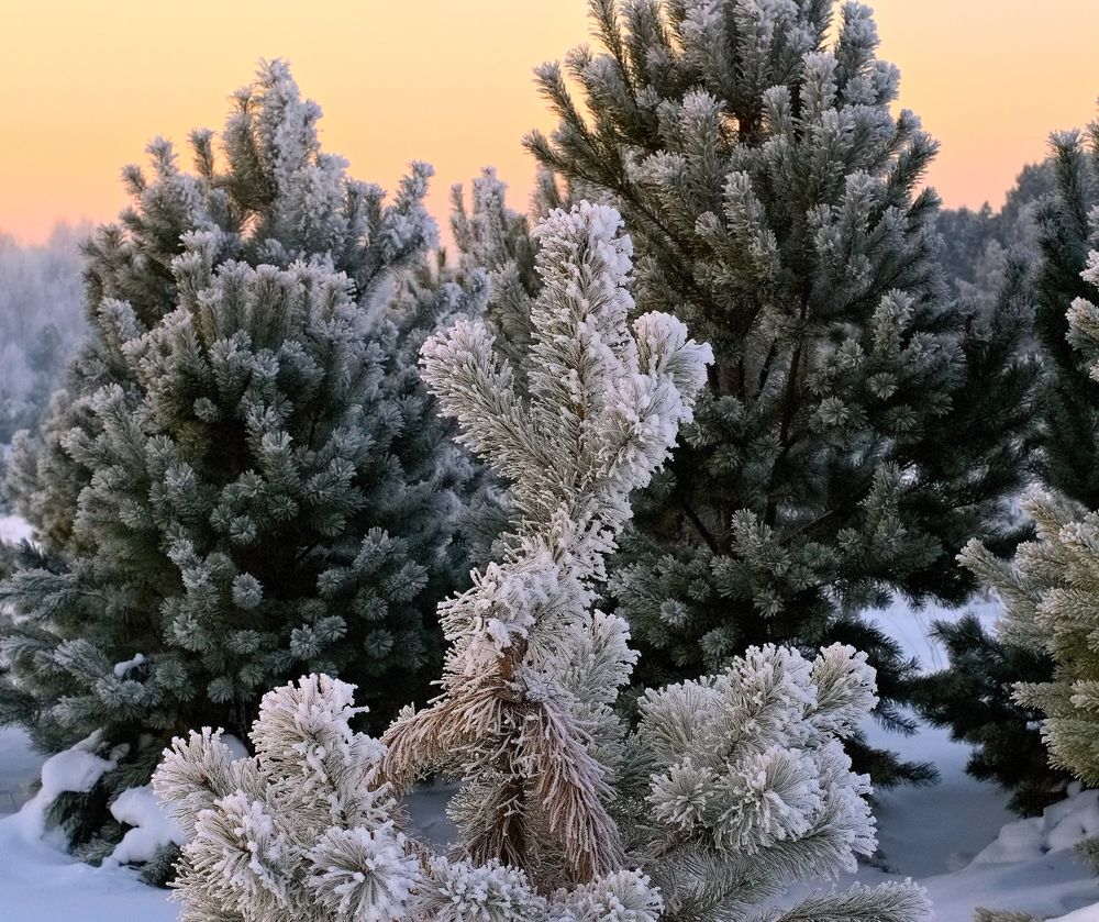 Photograph by Владимир Мигонькин