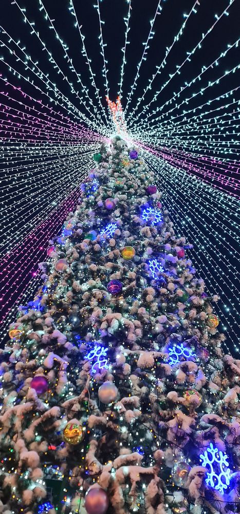 Photograph by Kim Natasha