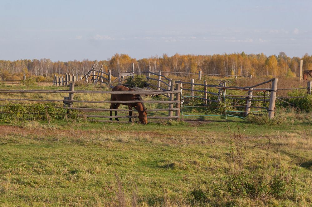 Photograph by Екатерина Брехова