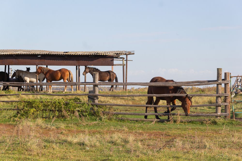 Photograph by Екатерина Брехова
