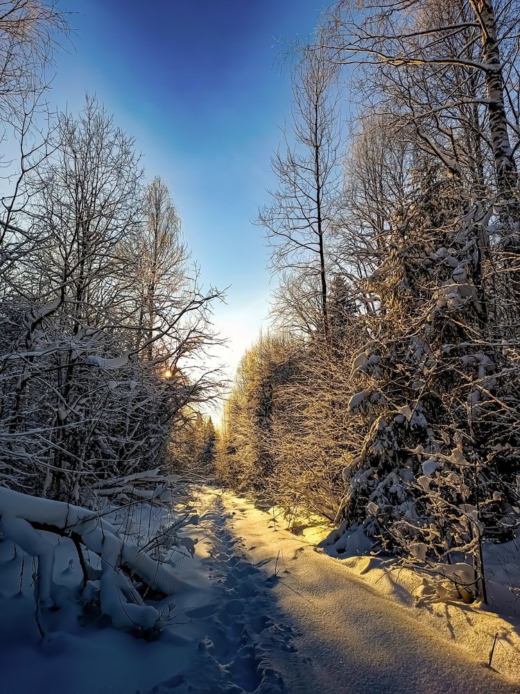 Photograph by Александр Степанов