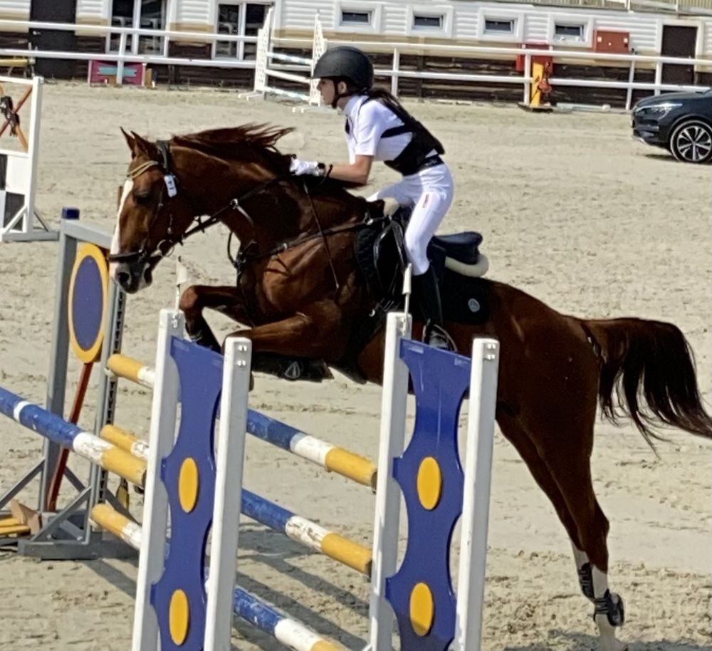 Фотография автора Вера Артеменко