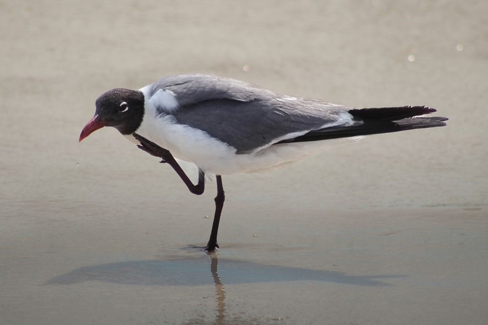 Фотография автора Jeff Cooley