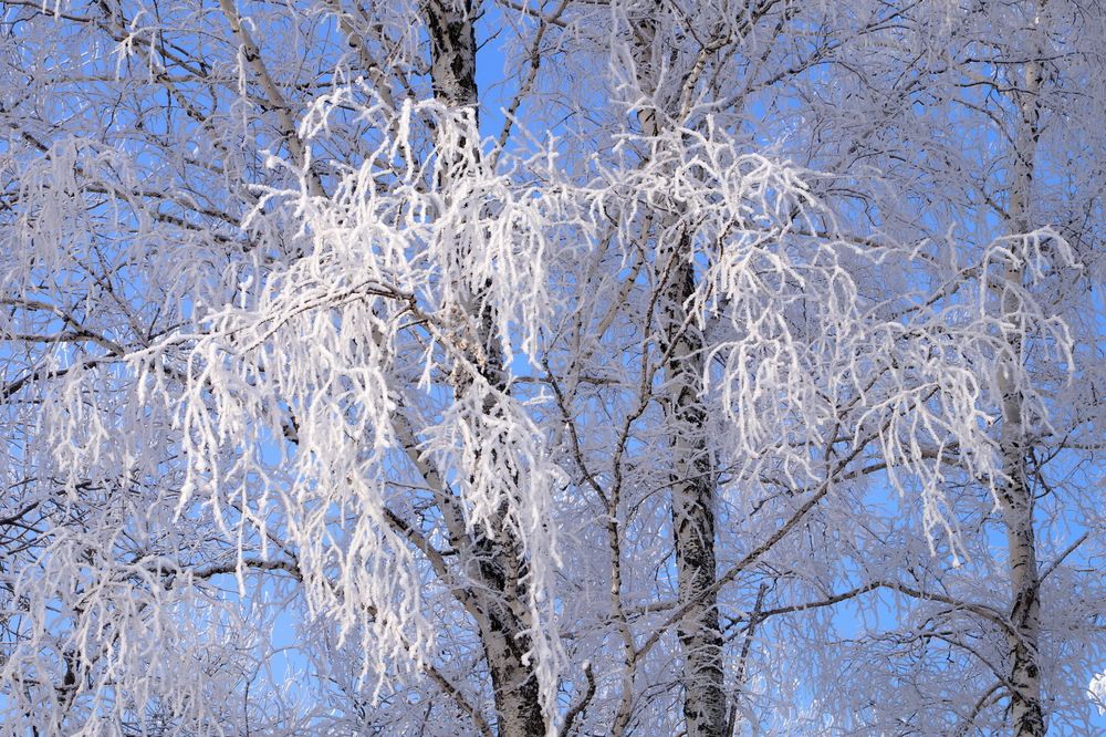 Photograph by Галина Кан