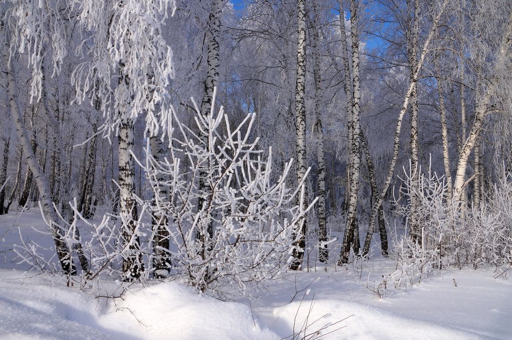 Photograph by Галина Кан