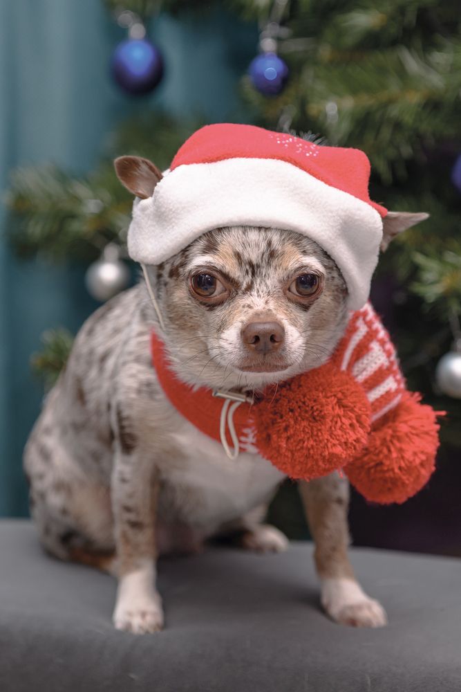 Photograph by Демьян Лопатов