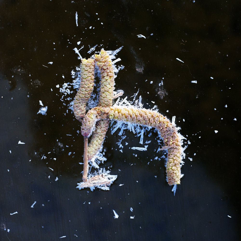 Photograph by Дмитрий Ткаченко