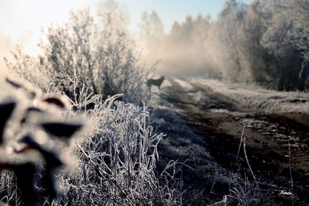 Фотография автора Людмила Иванова