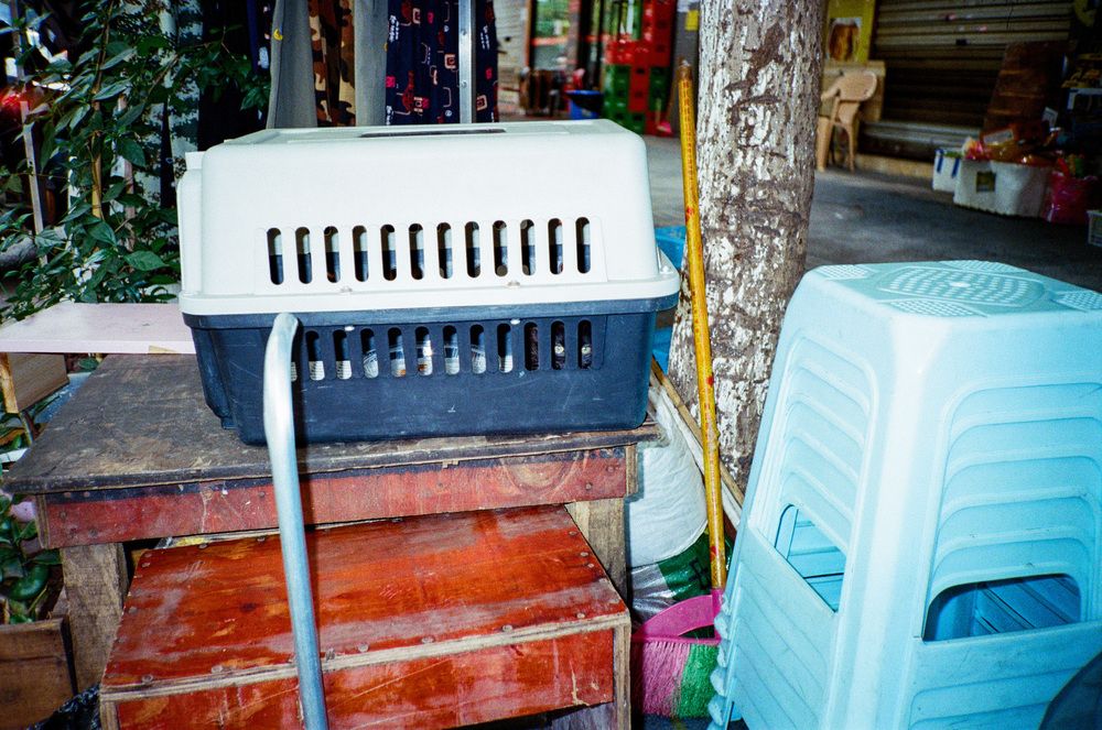 Photograph by Zhang Yunxiang