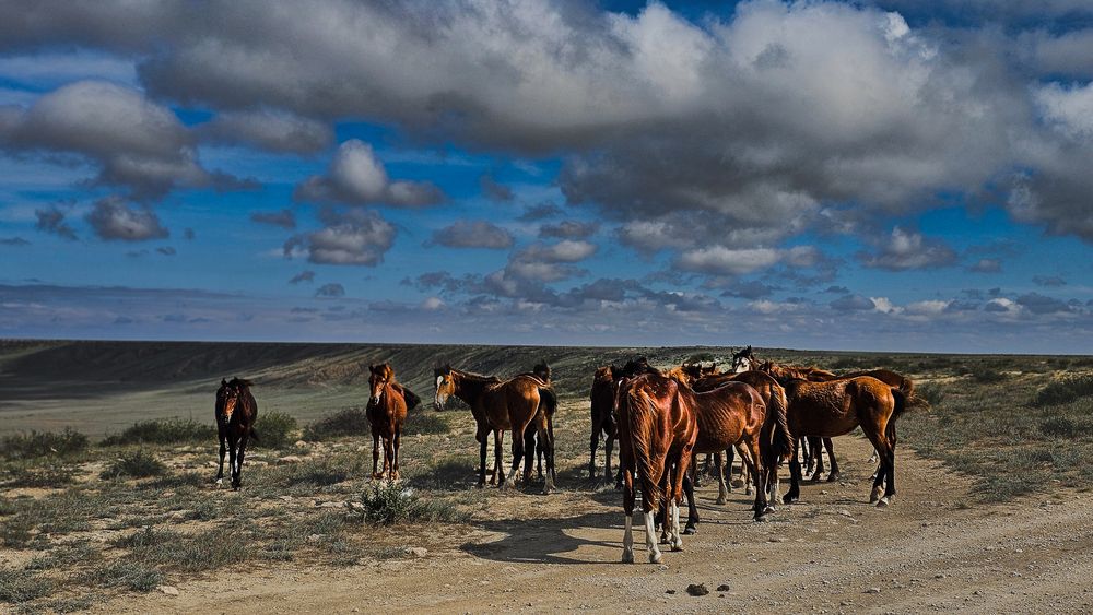 Фотография автора Инна Федорова