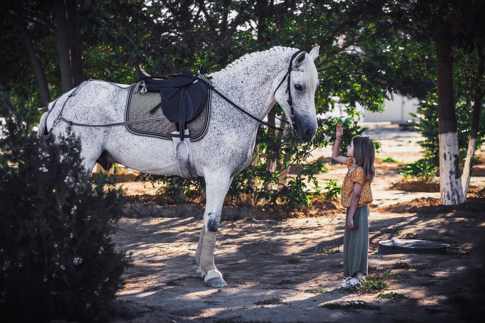 Фотография автора Инна Федорова