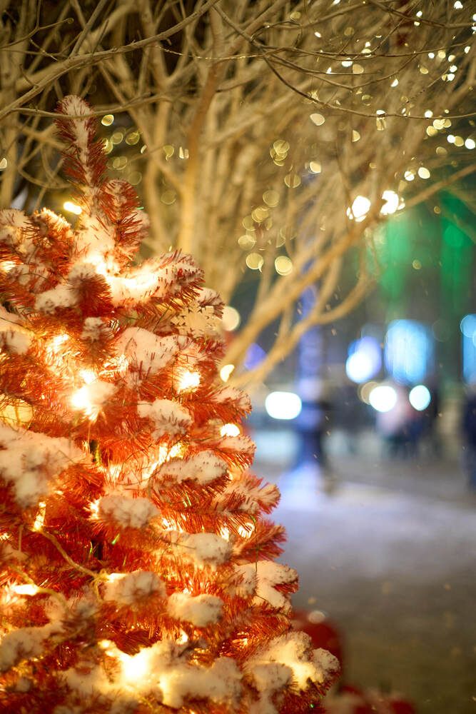 Фотография автора Максим Карпович