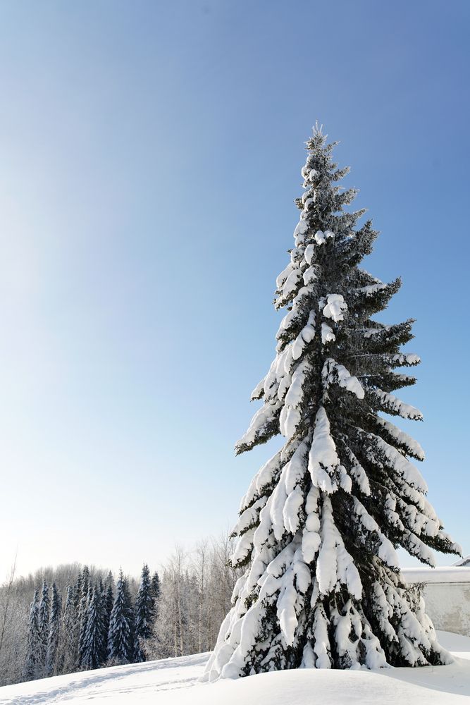 Photograph by Алексей Юрьевич