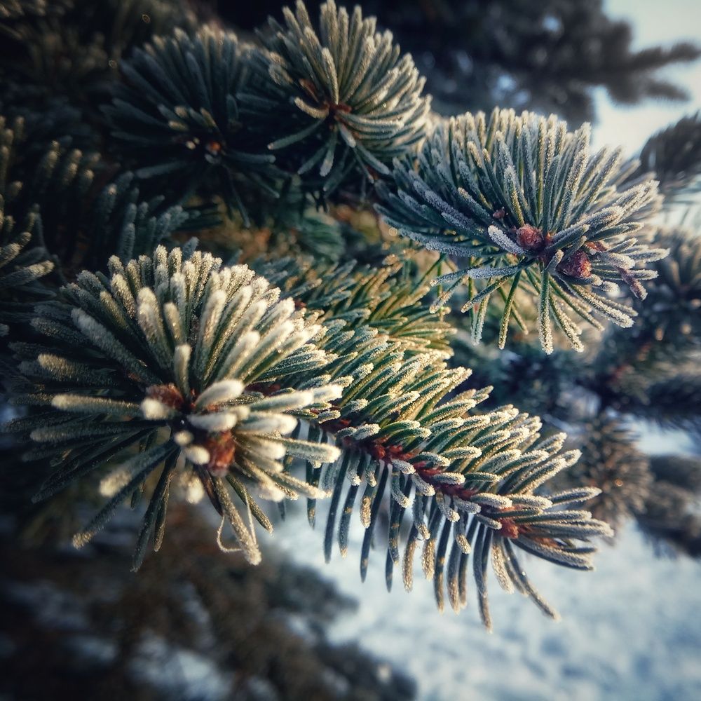 Фотография автора Геннадий Ломеко