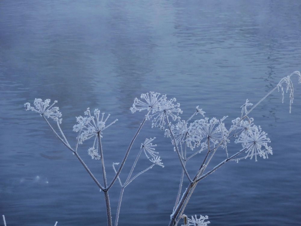 Фотография автора Геннадий Ломеко