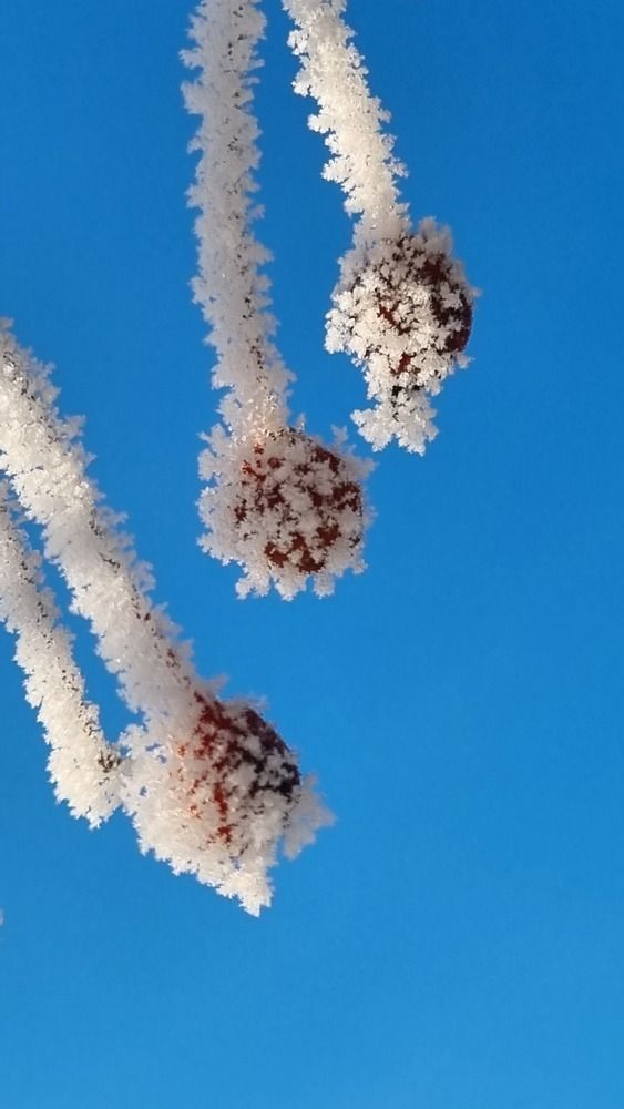 Photograph by Татьяна Устюжанина