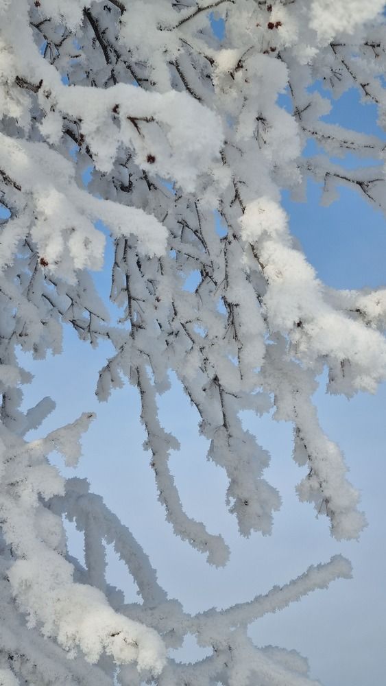 Photograph by Татьяна Устюжанина