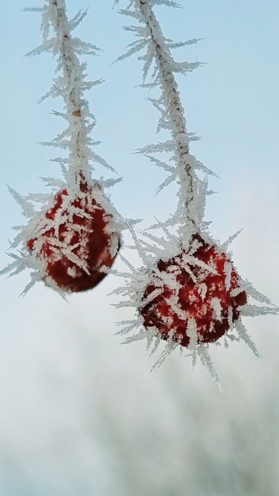 Photograph by Татьяна Устюжанина