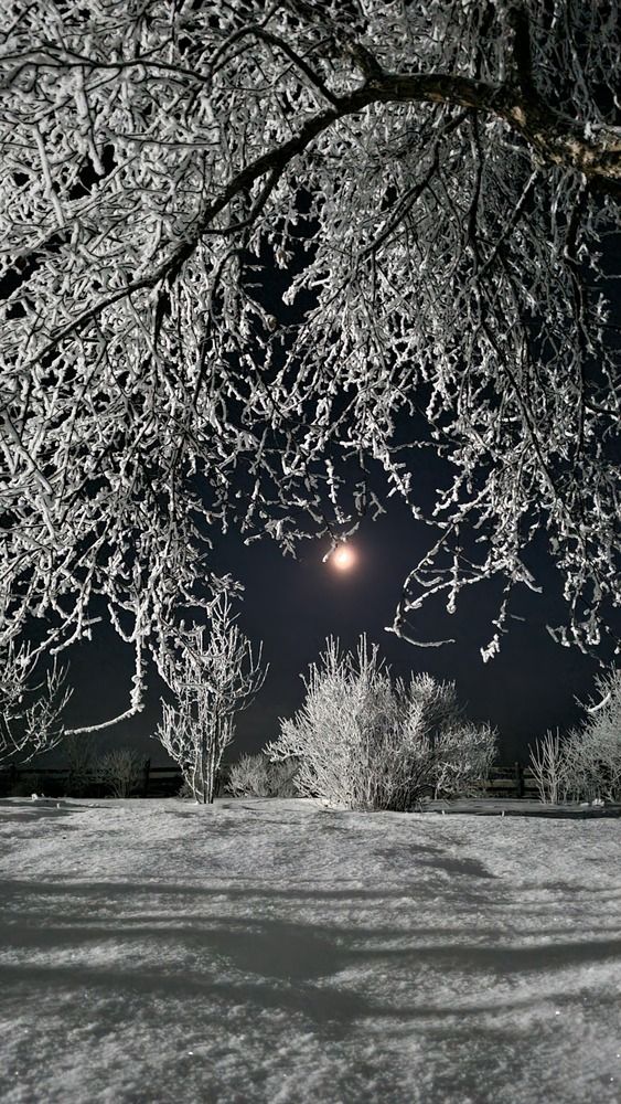 Photograph by Татьяна Устюжанина