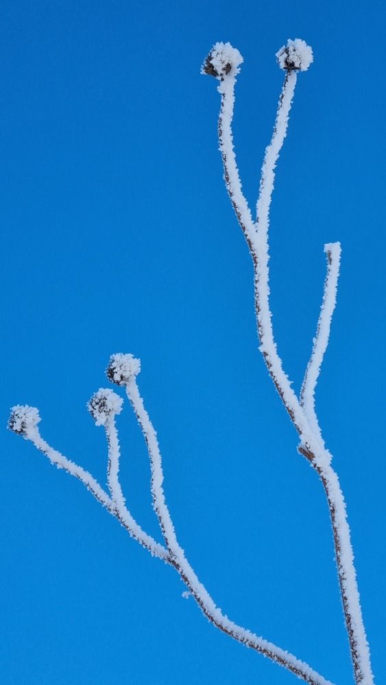 Photograph by Татьяна Устюжанина