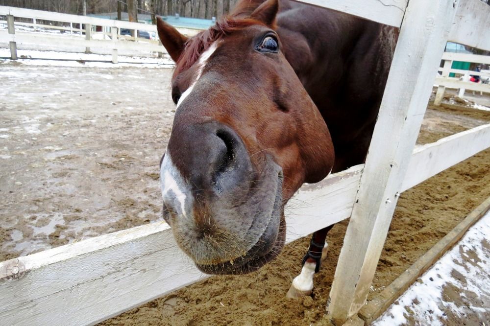 Photograph by Елена Казарина