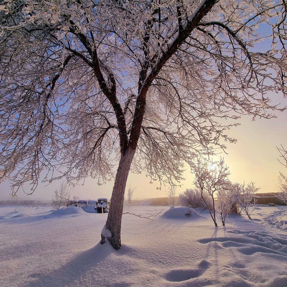 Photograph by Татьяна Устюжанина