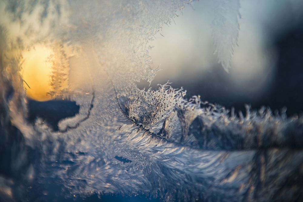 Photograph by Роман Гурененко