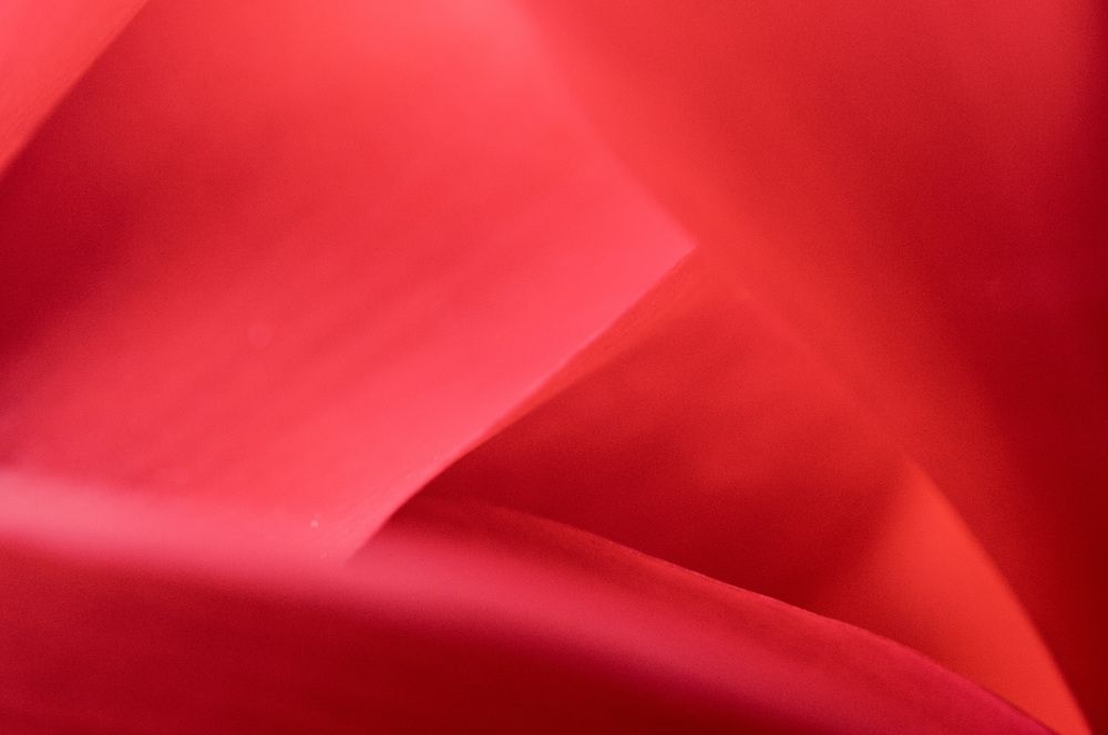 Фотография автора Nobu-Oh