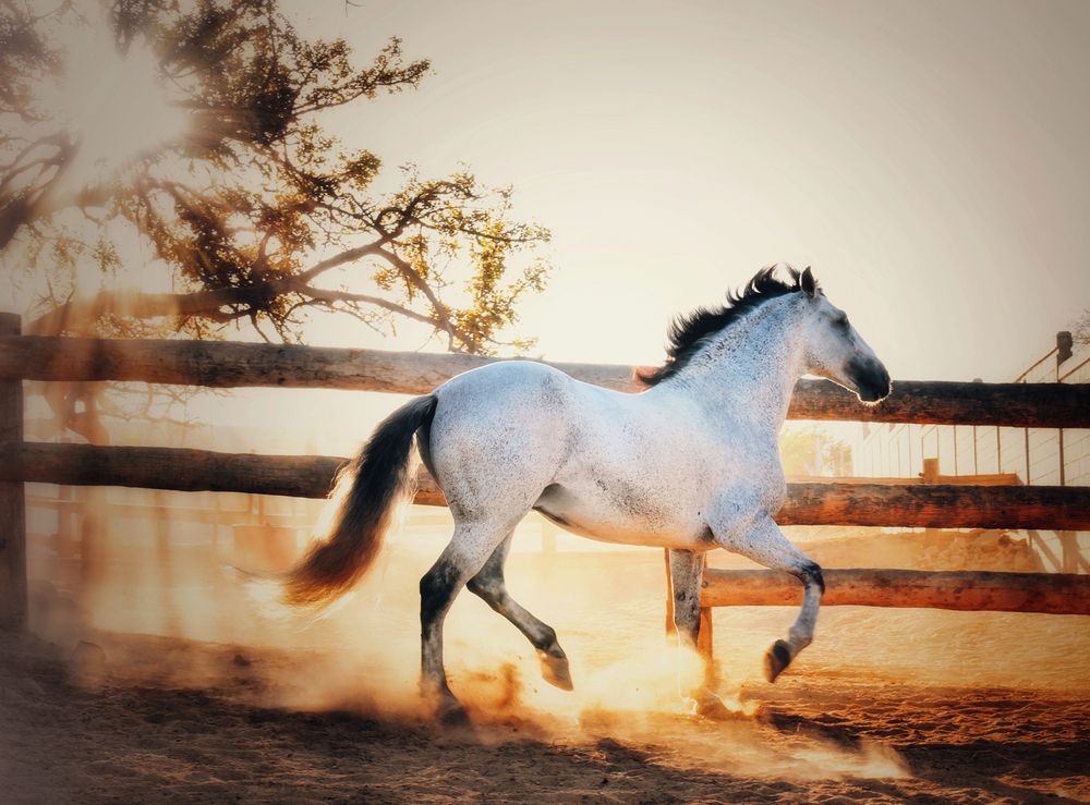 Photograph by Gabriela Bonilla