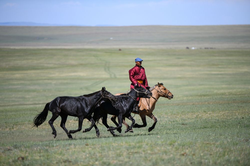 Photograph by Enkhjargal Sugarjav