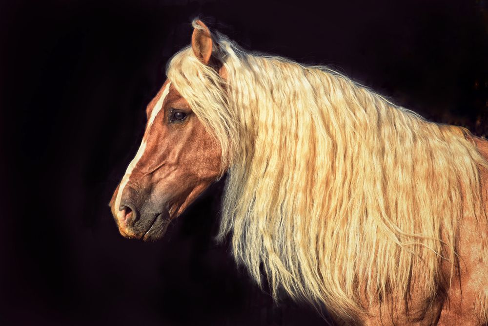 Photograph by Gabriela Bonilla