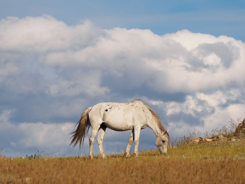 Photograph by Альберт Куулар
