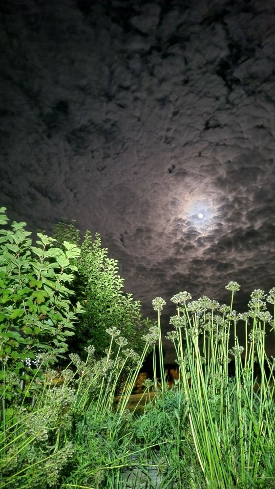 Photograph by Татьяна Устюжанина