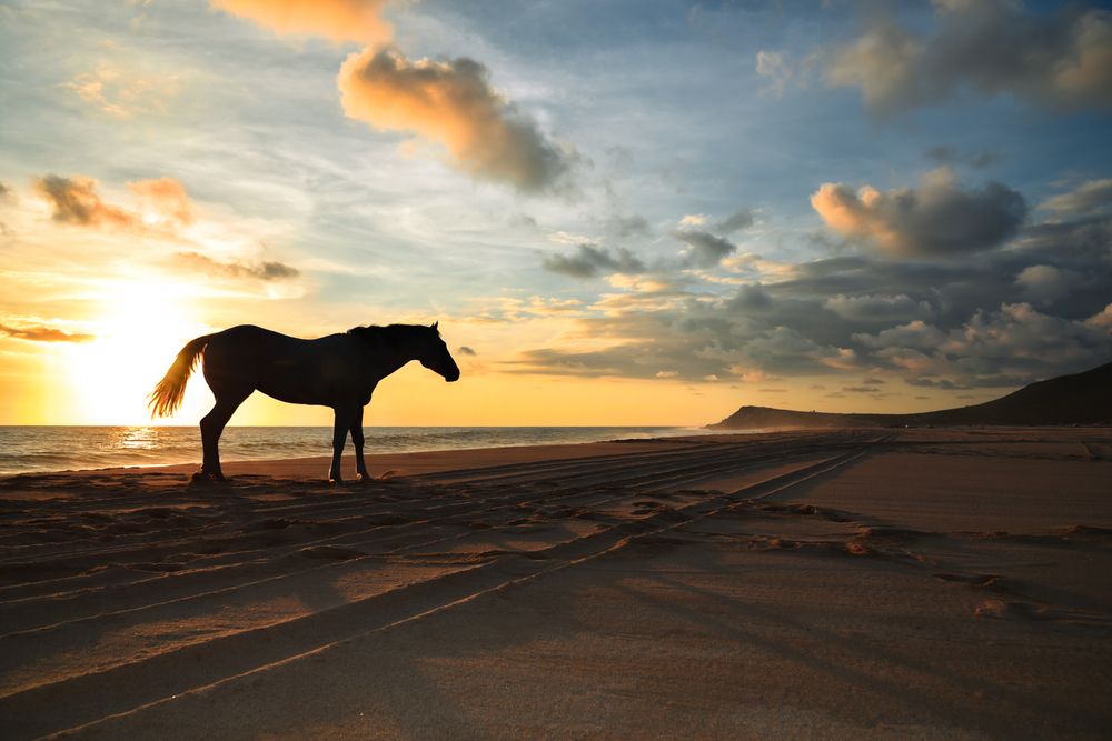 Photograph by Gabriela Bonilla