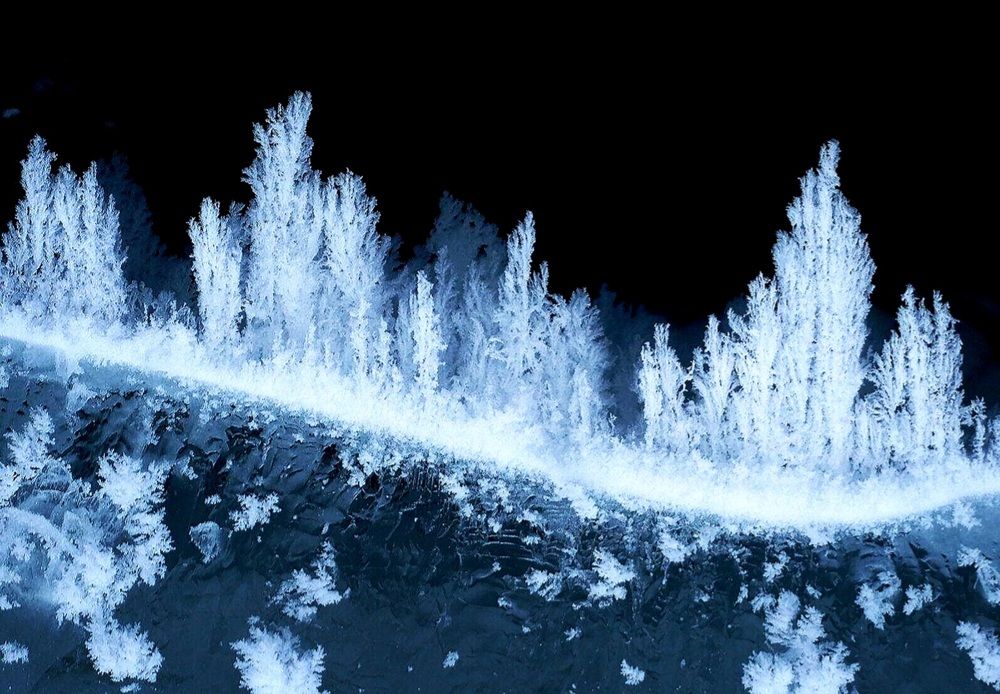 Сказочный, зимний лес.